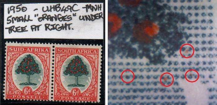 1950 Union Hyphenated & Screened Definitive 6d-pair with variety in MNH-condition