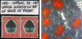 1950 Union Hyphenated & Screened Definitive 6d pair with listed variety in MM-condition