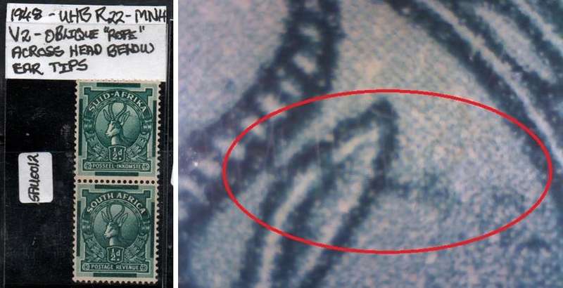 1948 Union Mono-coloured Coil 1/2d-pair with listed variety in MNH-condition