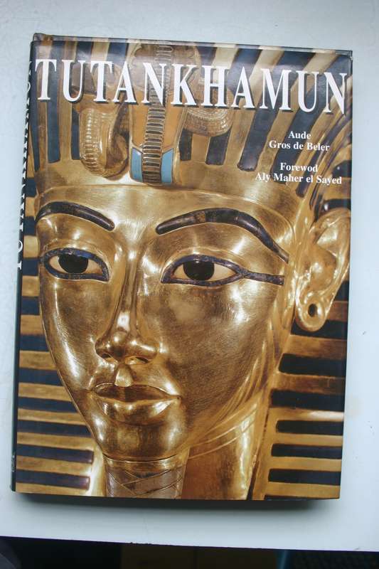 Tutankhamun - Aude Gros de Beler