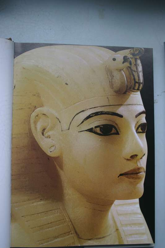 Tutankhamun - Aude Gros de Beler