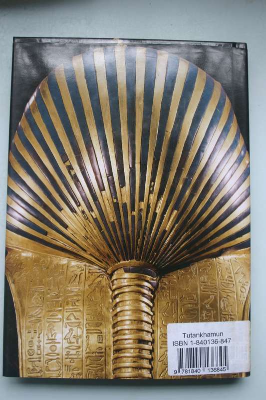 Tutankhamun - Aude Gros de Beler