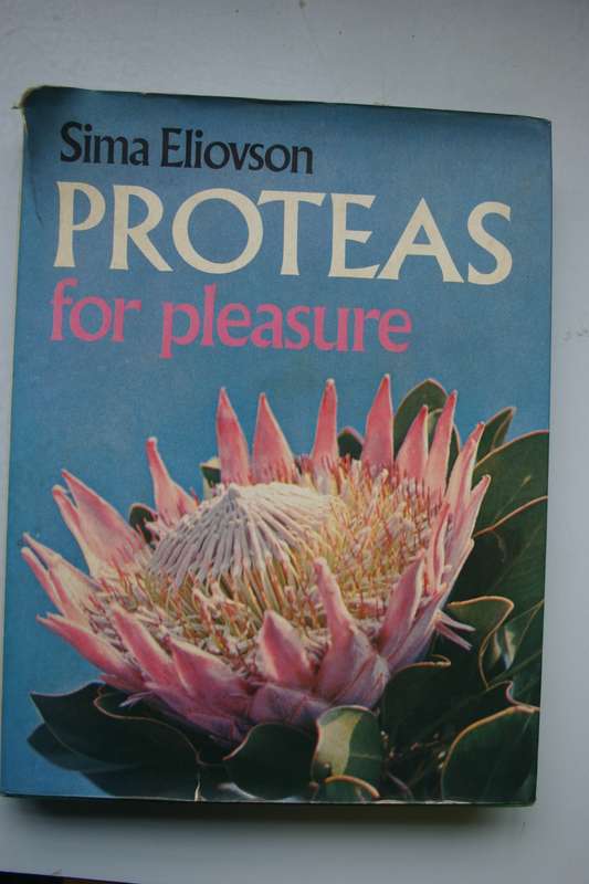 Proteas for pleasure - Sima Eliovson