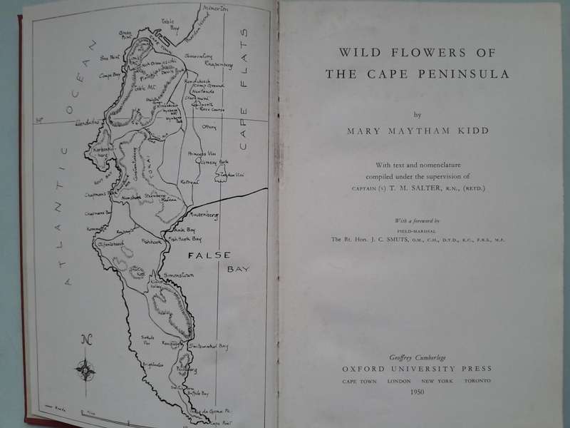 Wild Flowers of the Cape Pemimsula - Mary Maytham Kidd.