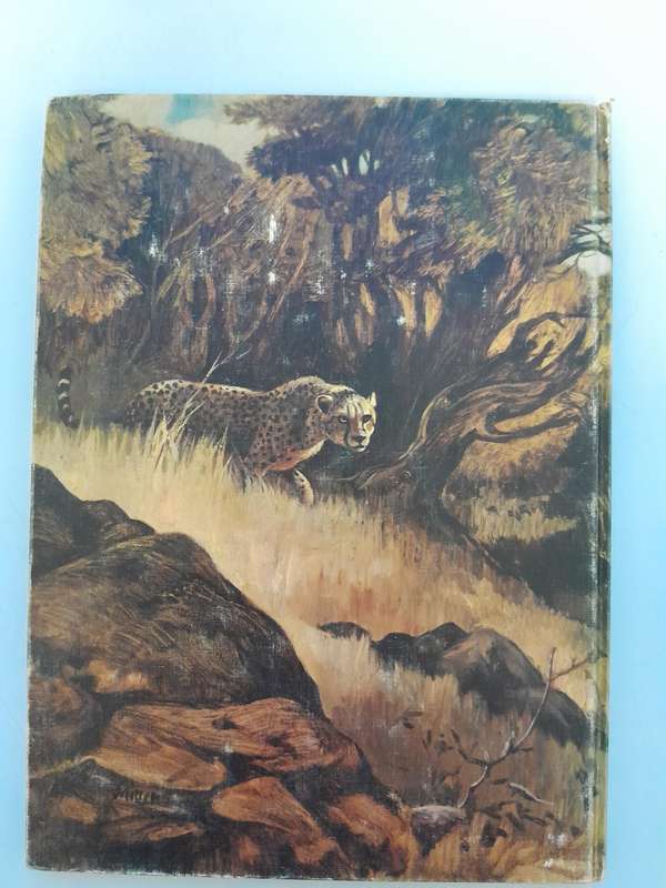 LOW VELD TRAILS - T.V. Bulpin and Penny Miller.