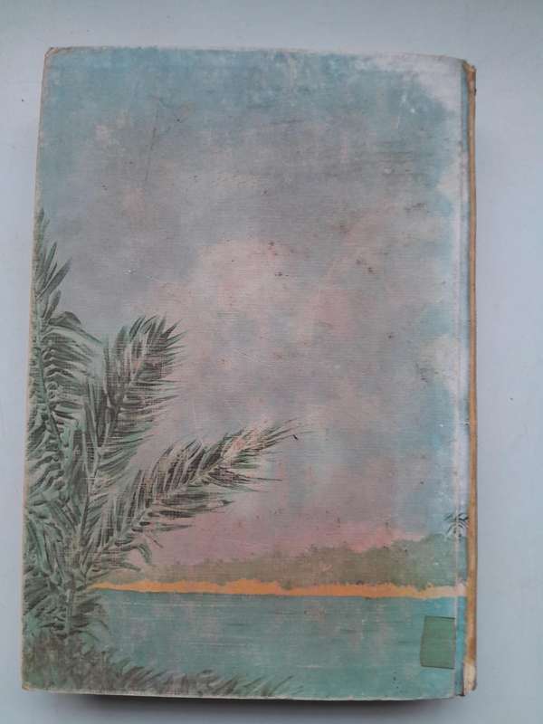 Islands in a Forgotten Sea - T.V.BULPIN