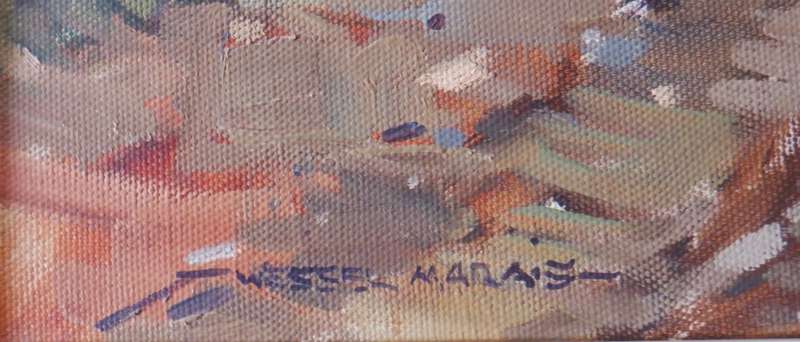 Wessel Marais - very large oil painting - 51 cm x 76 cm