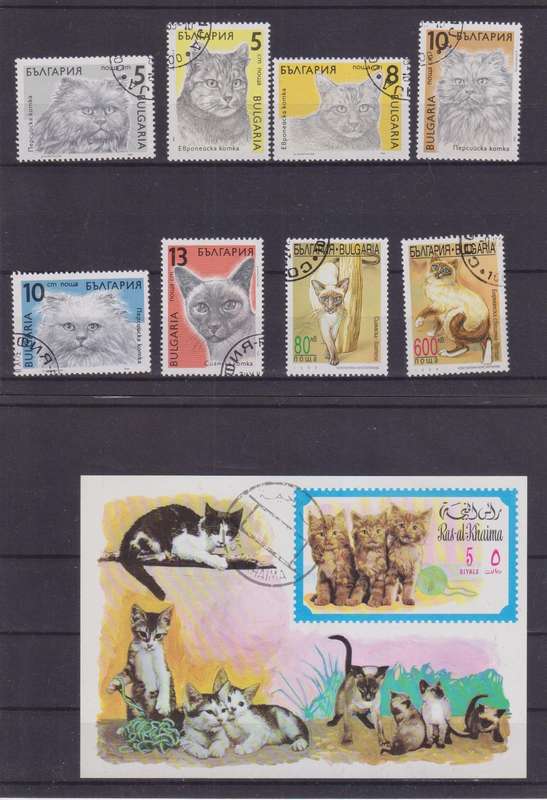 R12 SALE - COLLECTION OF THEMATIC STAMPS - CATS