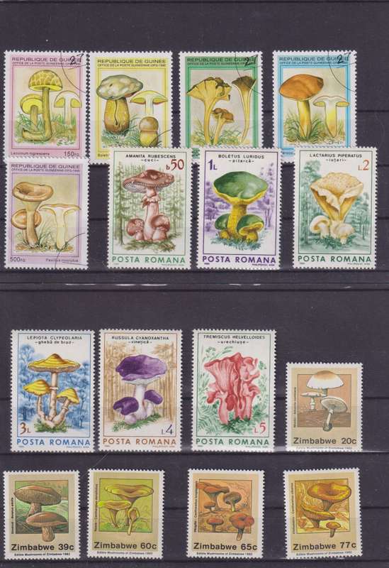 R12 SALE - COLLECTION OF THEMATIC STAMPS - MUSHROOMS