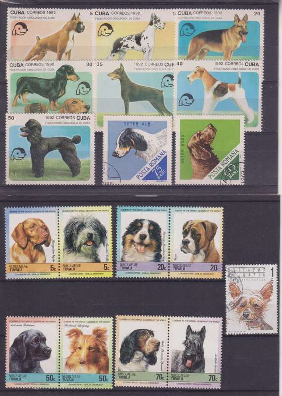 R12 SALE - COLLECTION OF THEMATIC STAMPS - DOGS