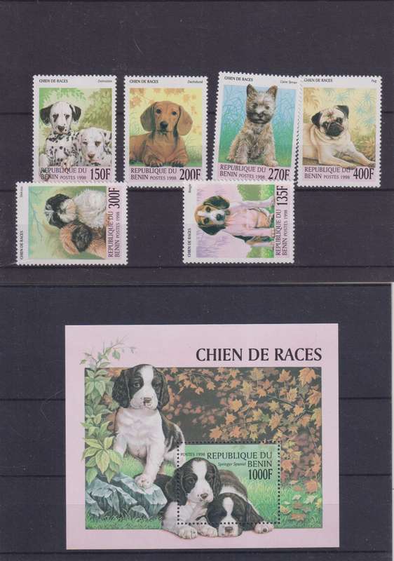 R12 SALE - COLLECTION OF THEMATIC STAMPS - DOGS