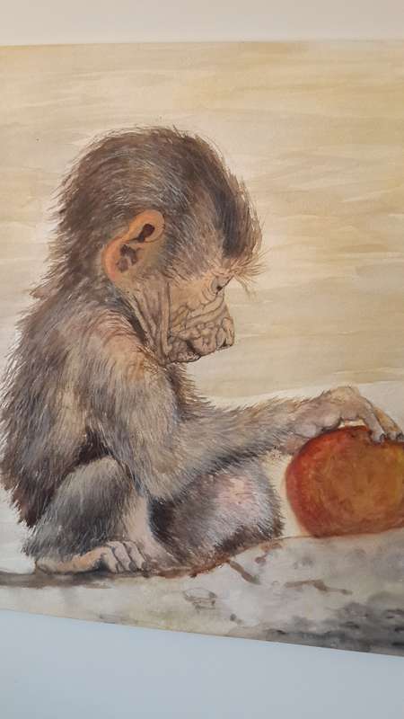 Baby Baboon, The fortuneteller. Watercolor by Melanie Mulder. A2