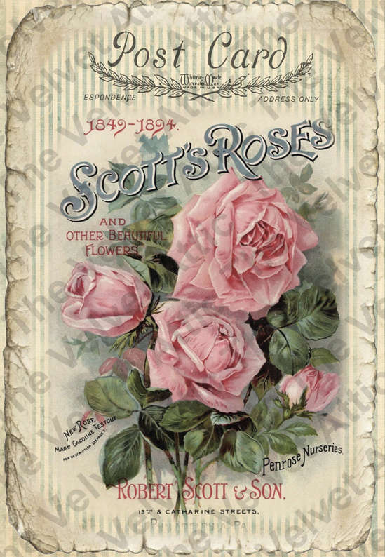 Set of 6 Velvet Attic Decoupage Papers