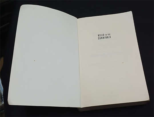 Hello to the Cannibals by Richard Bausch (1st Edition)