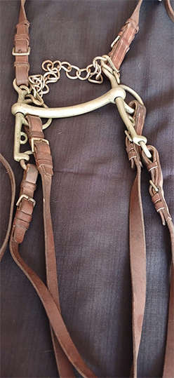Horse Riding Leather Bridle with Bit and Double Reins