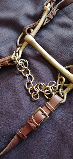 Horse Riding Leather Bridle with Bit and Double Reins