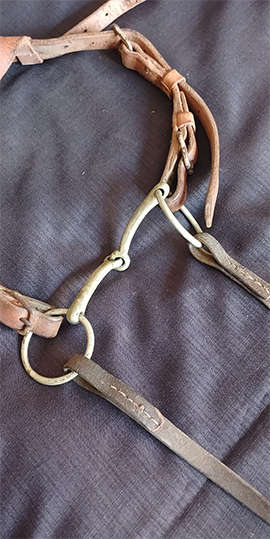 Horse Riding Leather Bridle with Bit and Single Reins