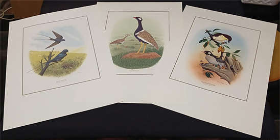 Set of 3 Kenneth Newman Lithographic Prints