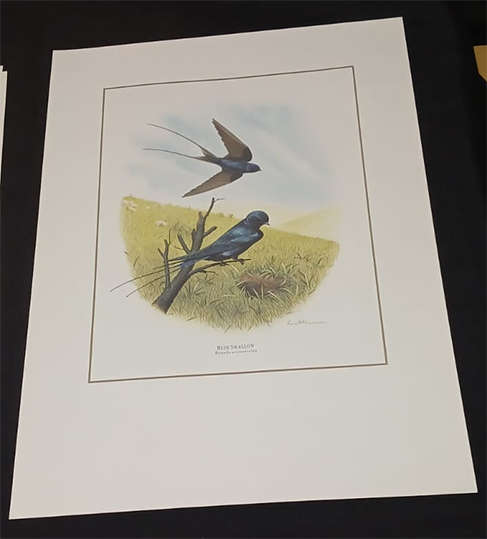 Set of 3 Kenneth Newman Lithographic Prints