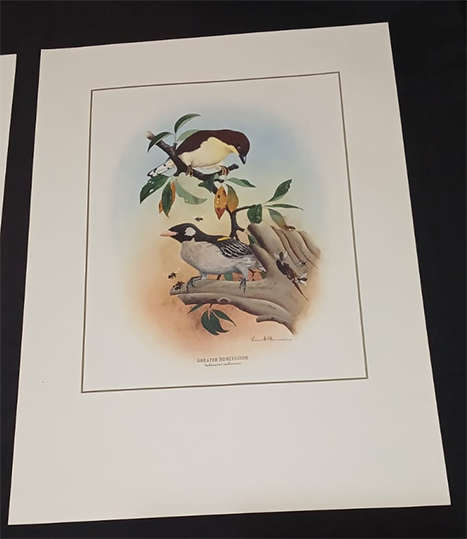 Set of 3 Kenneth Newman Lithographic Prints