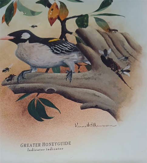 Set of 3 Kenneth Newman Lithographic Prints