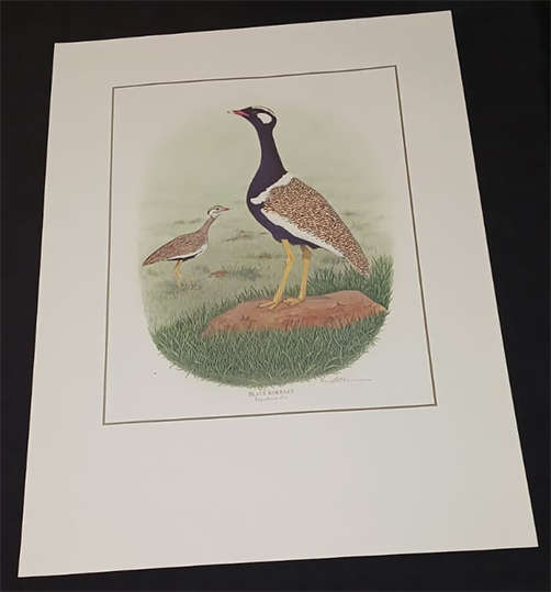 Set of 3 Kenneth Newman Lithographic Prints