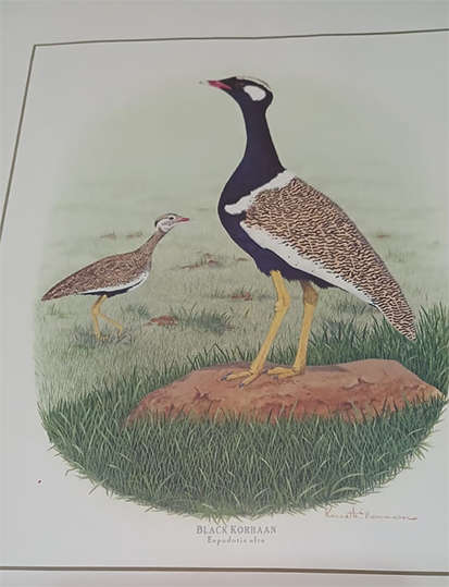 Set of 3 Kenneth Newman Lithographic Prints