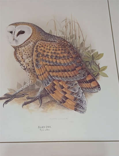 Set of 4 Geoffrey Lockwood Lithographic Prints