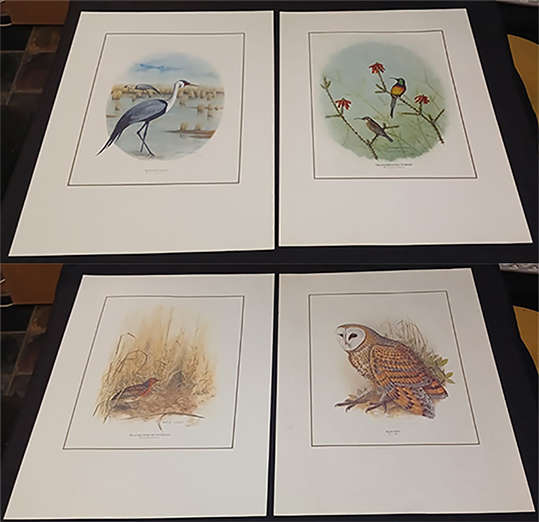 Set of 4 Geoffrey Lockwood Lithographic Prints
