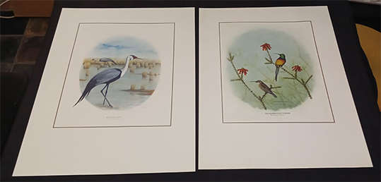 Set of 4 Geoffrey Lockwood Lithographic Prints