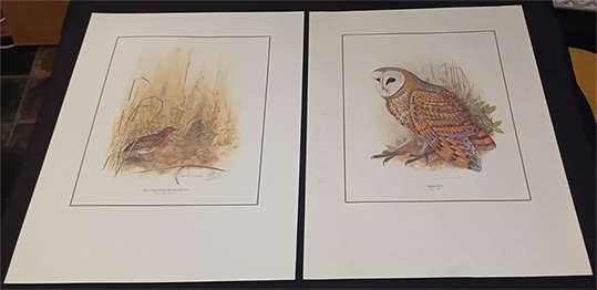 Set of 4 Geoffrey Lockwood Lithographic Prints