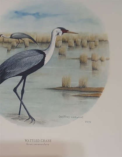 Set of 4 Geoffrey Lockwood Lithographic Prints