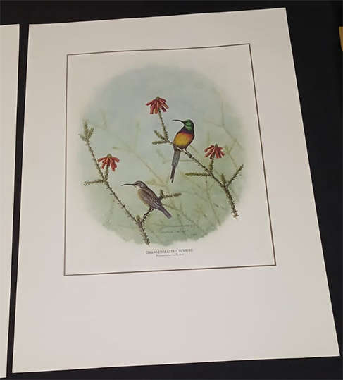 Set of 4 Geoffrey Lockwood Lithographic Prints