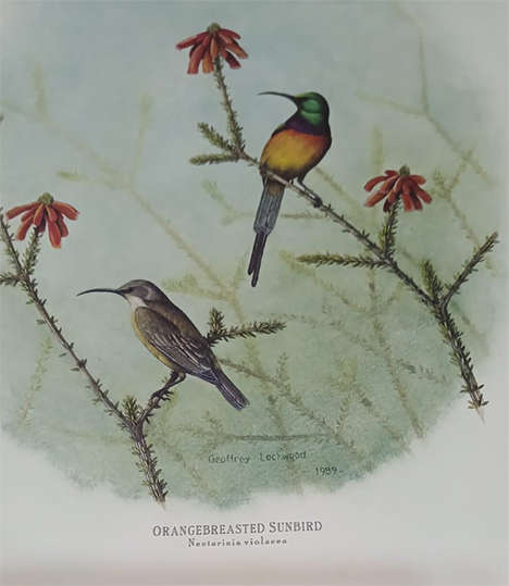 Set of 4 Geoffrey Lockwood Lithographic Prints