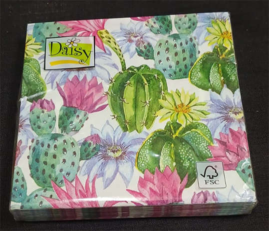 Imported Pack of Cacti Serviettes - 20 Serviettes x 3Ply