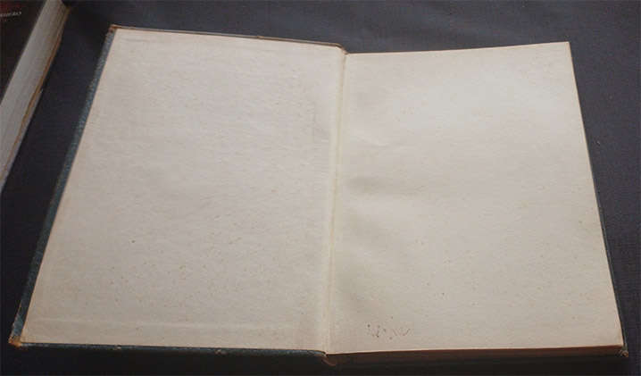 Rubaiyat of Omar Khayyam rendered into English verse by Edward Fitzgerald
