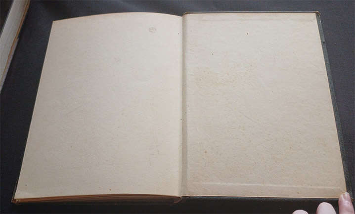 Rubaiyat of Omar Khayyam rendered into English verse by Edward Fitzgerald