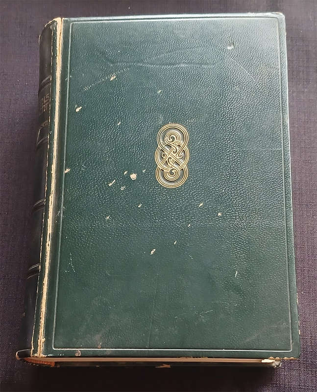 De Geschiedenis van het geslacht Bjorndal by Trygve Gulbranssen (Scandinavian Folk Tales)
