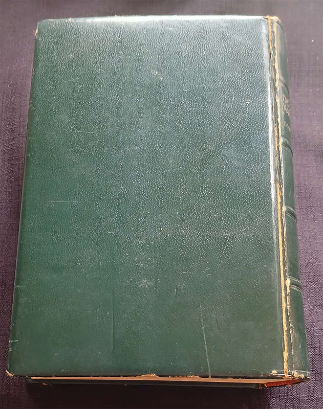 De Geschiedenis van het geslacht Bjorndal by Trygve Gulbranssen (Scandinavian Folk Tales)