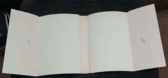 Believed Violent by James Hadley Chase (1st Edition)