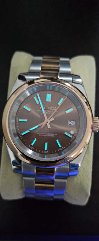 Seiko Mod watch