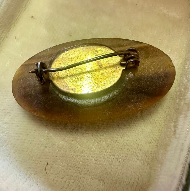 Tigers Eye Brooch