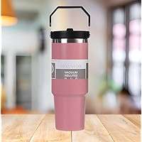 Stainless Steel Straw Cup Tumbler with Straw Lid (insulated) 4 Colours Random