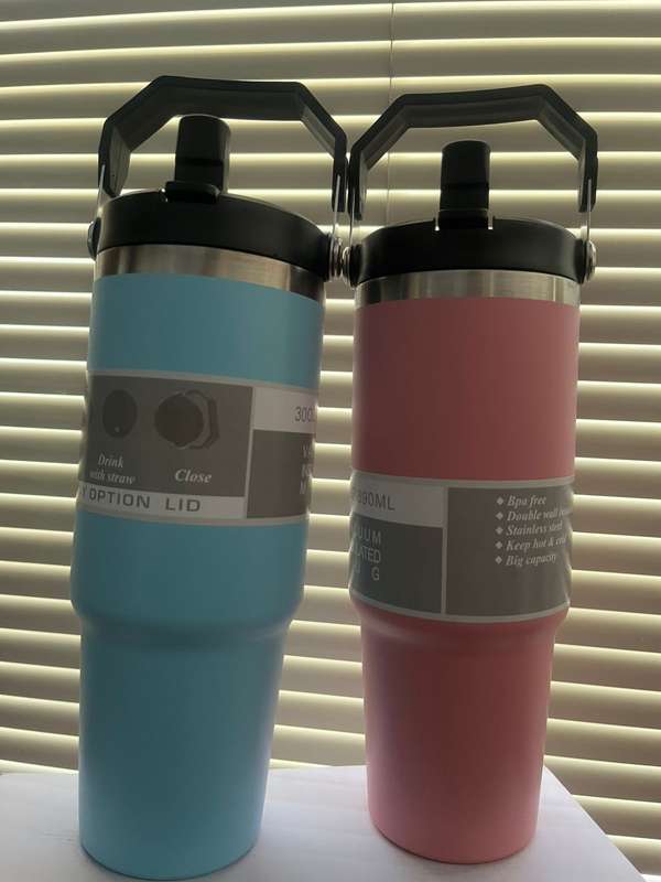 0.89L Stainless Steel Tumblers with Straw, Vacuum Insulated Water Bottle combo x2 *pink & blue set*