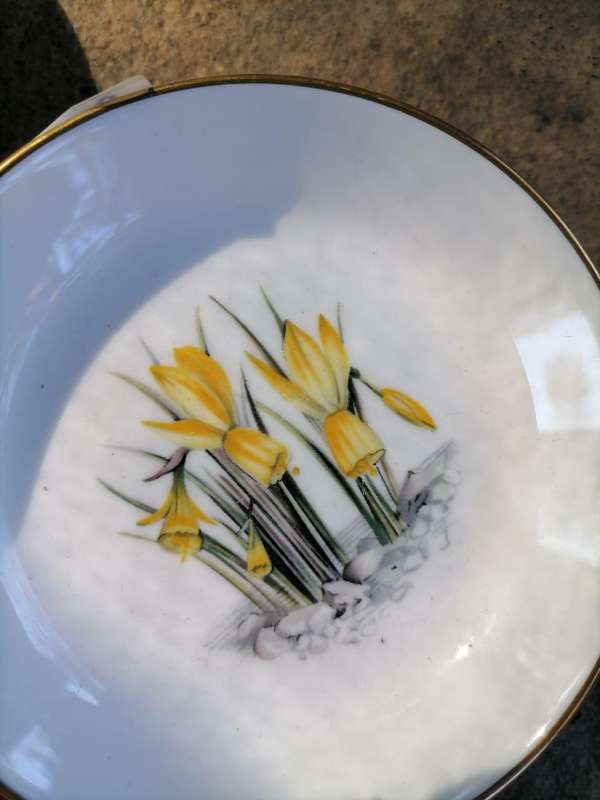 Royal Worster pin trays