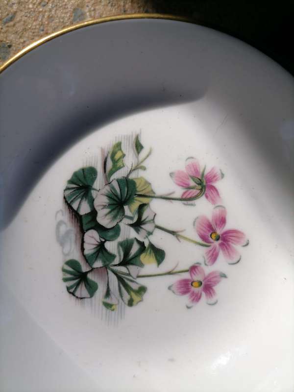 Royal Worster pin trays
