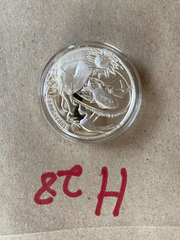 RARE - 2004 South Africa Silver proof R1 - Democracy