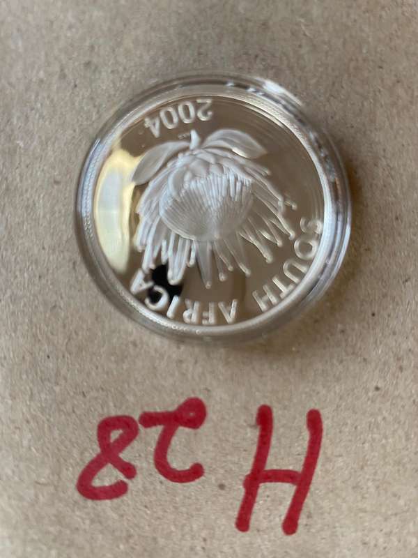 RARE - 2004 South Africa Silver proof R1 - Democracy