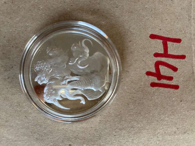 Not seen every day, 1 Ounce pure Silver - BIG 5
