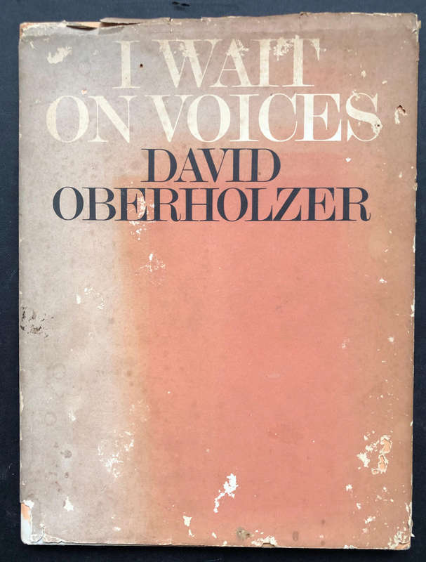 I Wait on Voices by David Oberholzer First Edition